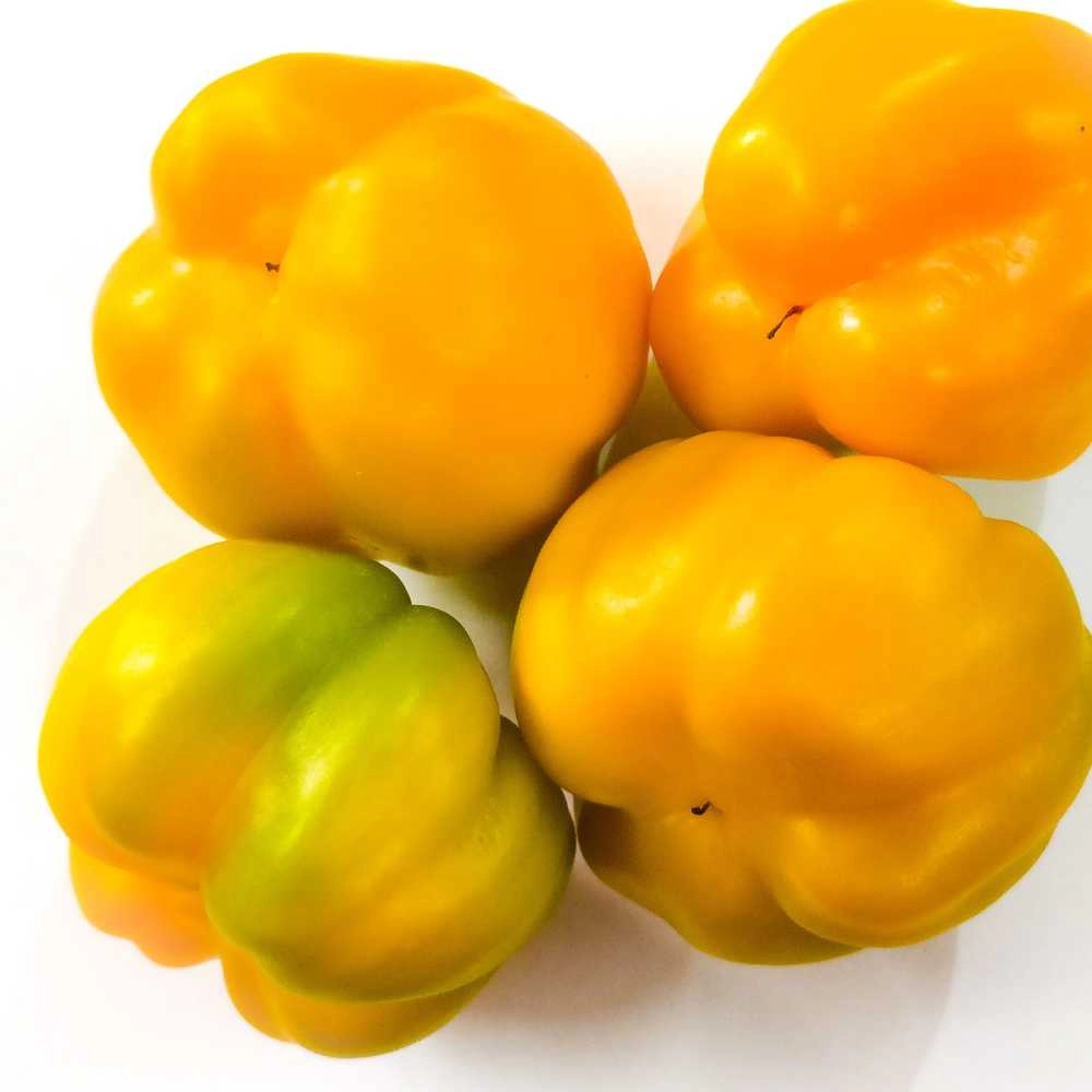 Sweet peppers / Topepo giallo - 30 seeds