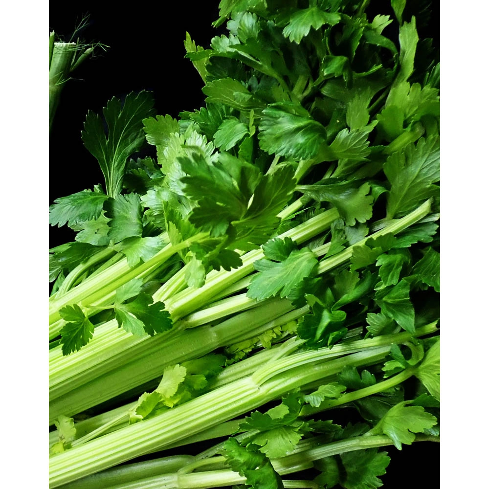 Celery / Celery stalks - various quantities