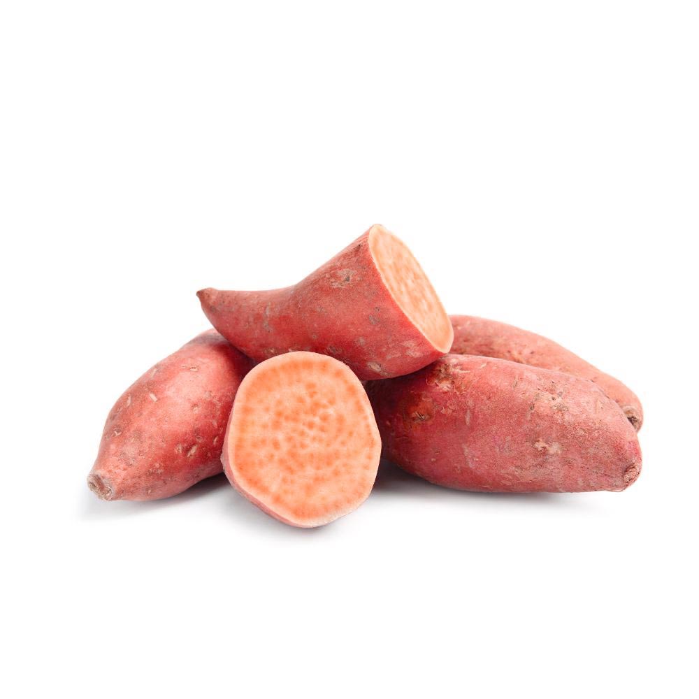 Słodki ziemniak / Erato® Vineland Salmon Orange - 3 rośliny w bryle korzeniowej