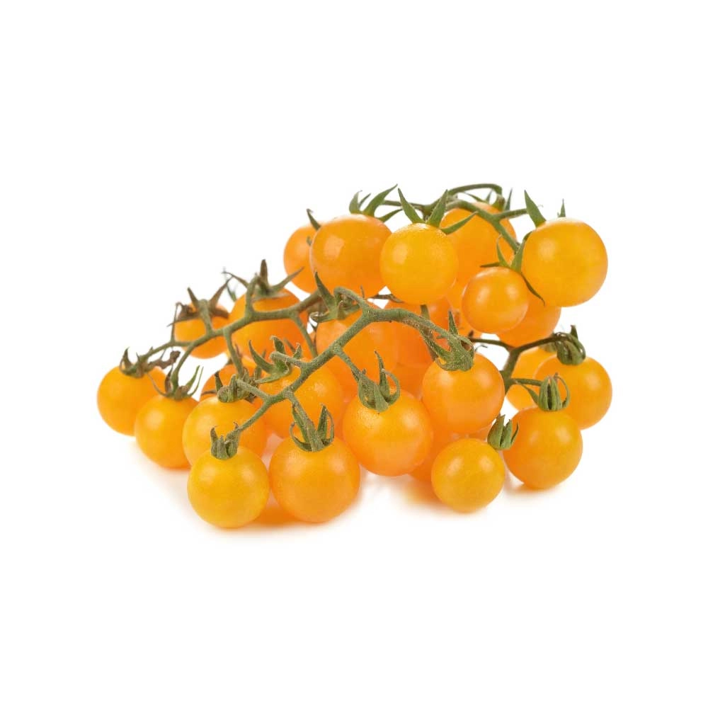 Pomidor balkonowy / Strongboy - Żółty F1 - 3 rośliny w bryle korzeniowej