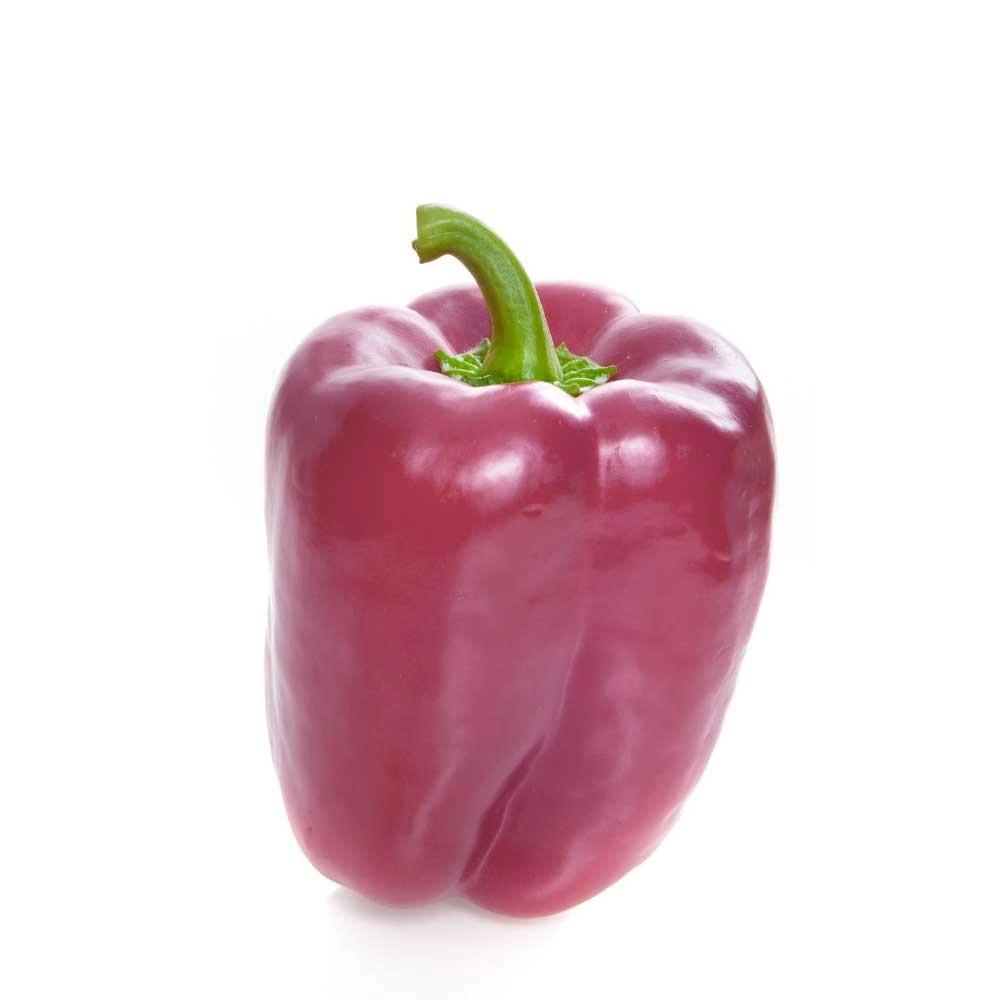 Papryka blokowa / Beluga® Lilac F1 - 3 rośliny w bryle korzeniowej