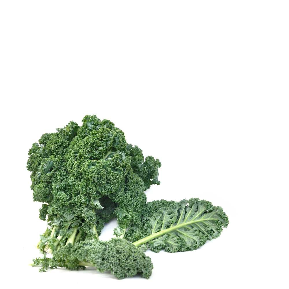 Kale / Semi-high green krauser - 200 seeds