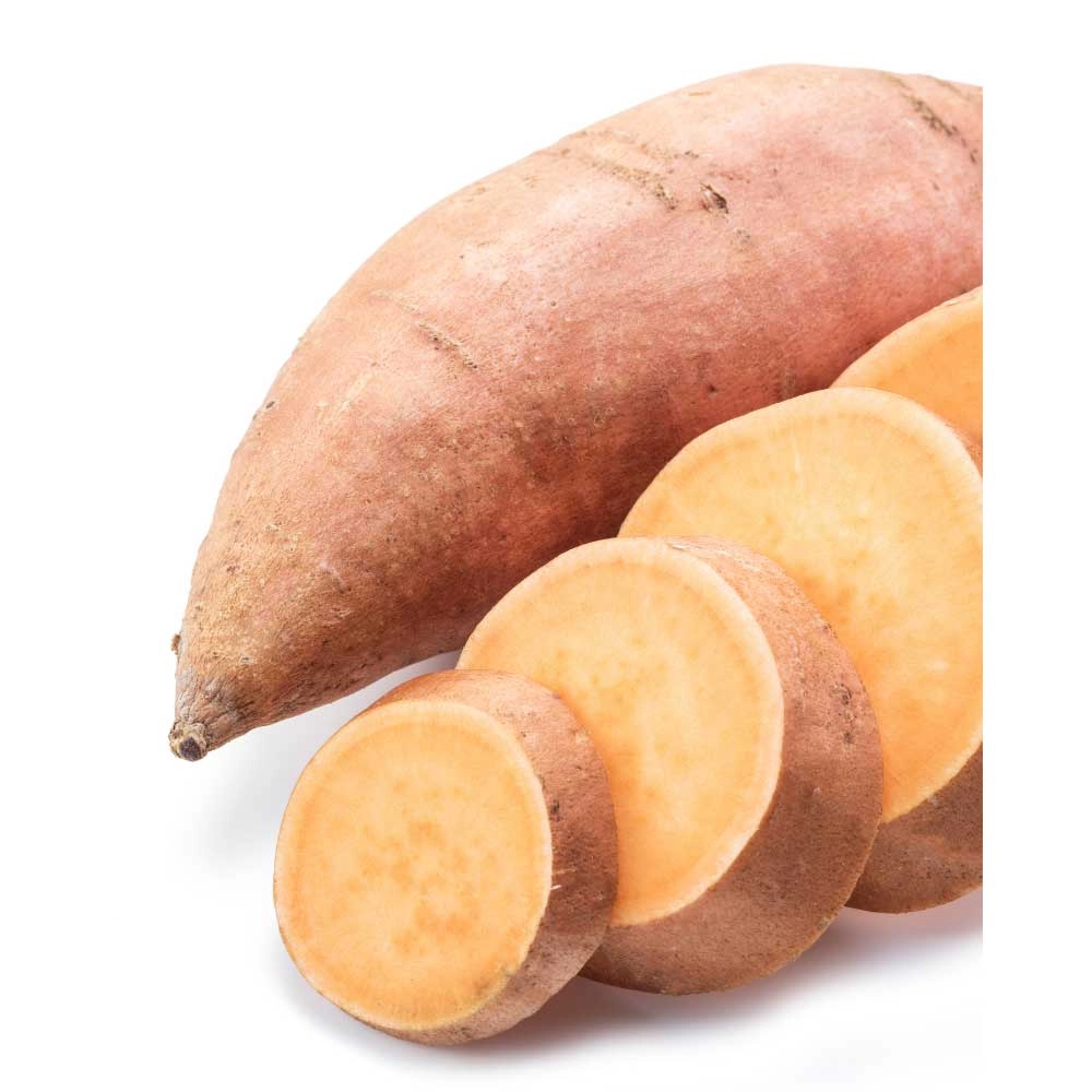 Słodki ziemniak Erato® Vineland Intense Orange - 3 rośliny w bryle korzeniowej