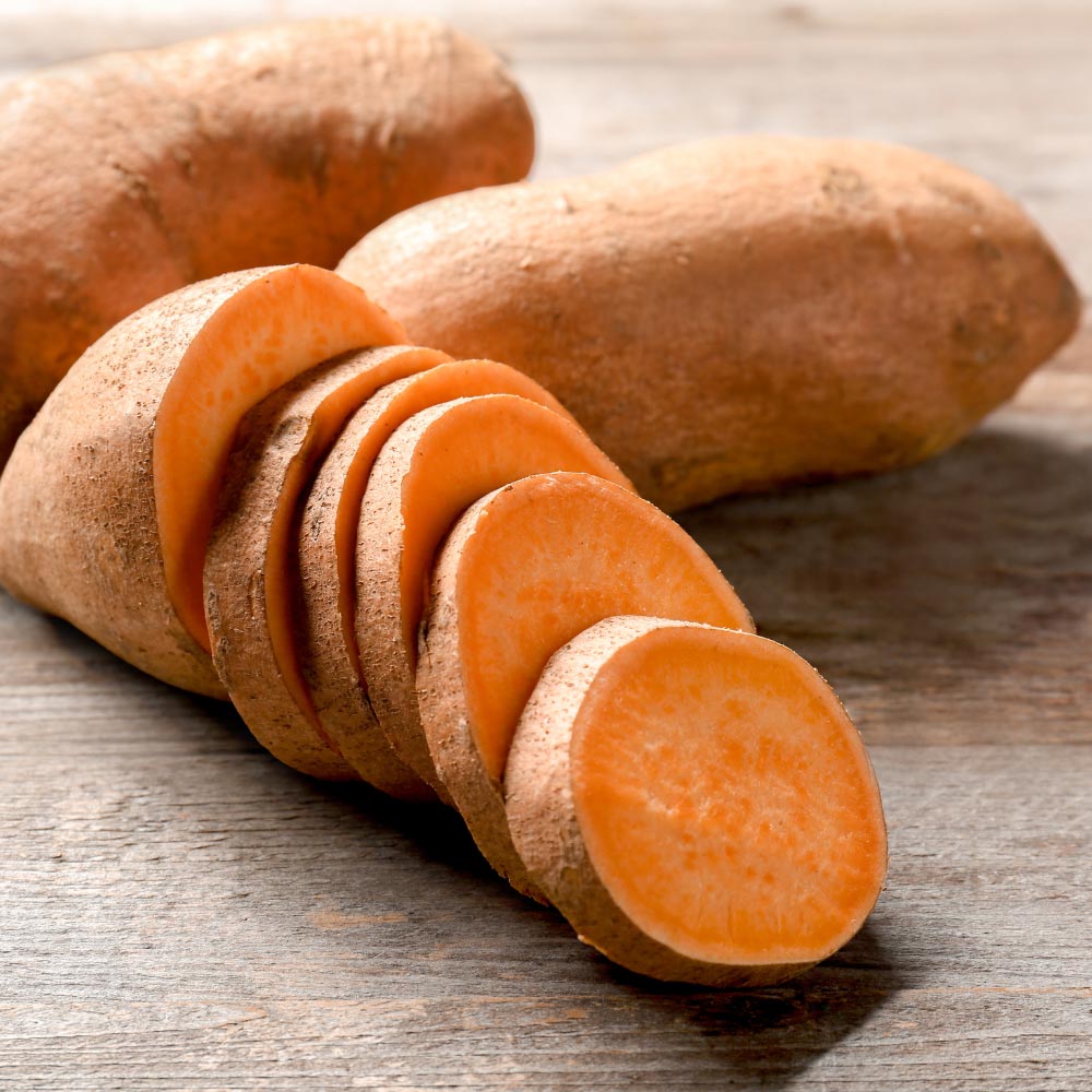 Süßkartoffel / Erato® Deep Orange - 3 Pflanzen im Wurzelballen