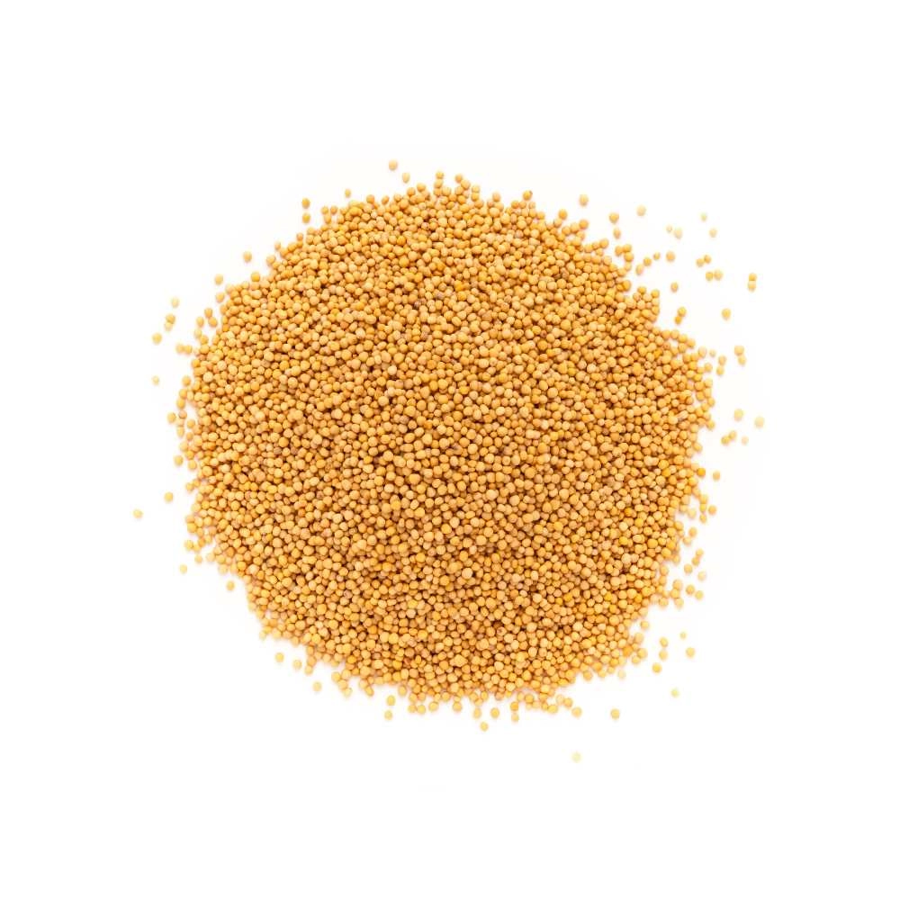 Mustard / Yellow - 100 gram