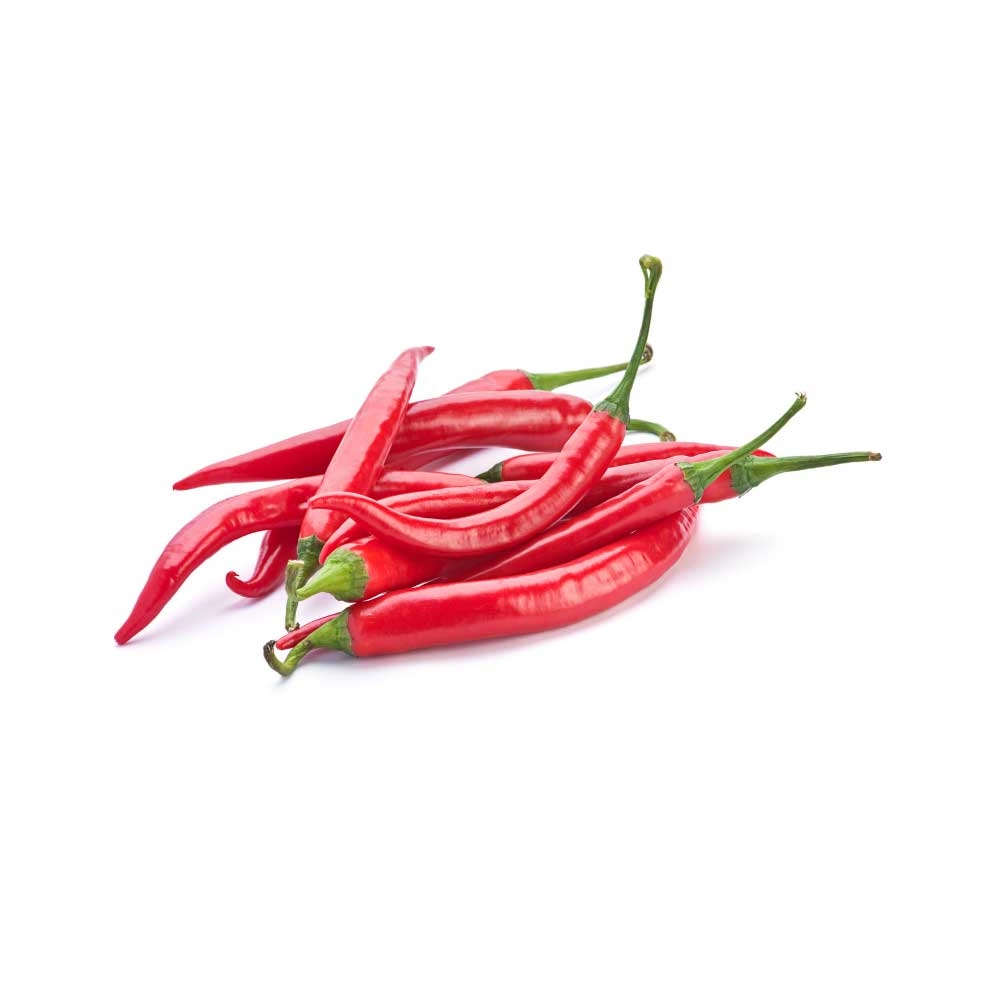 Hot peppers - Vectura® Red - 3 plants in root ball