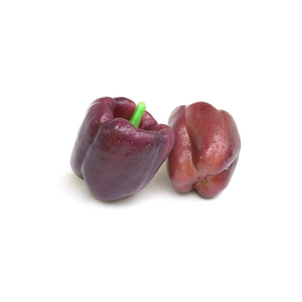 Papryka blokowa / Beluga® Purple F1 - 3 rośliny w bryle korzeniowej