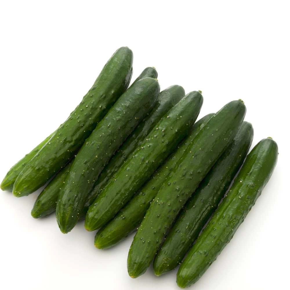 Outdoor cucumber / Burpless Tasty Green F1 - 20 seeds