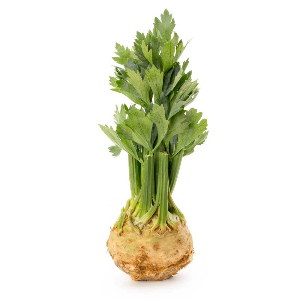 Celeriac / celeriac - various quantities