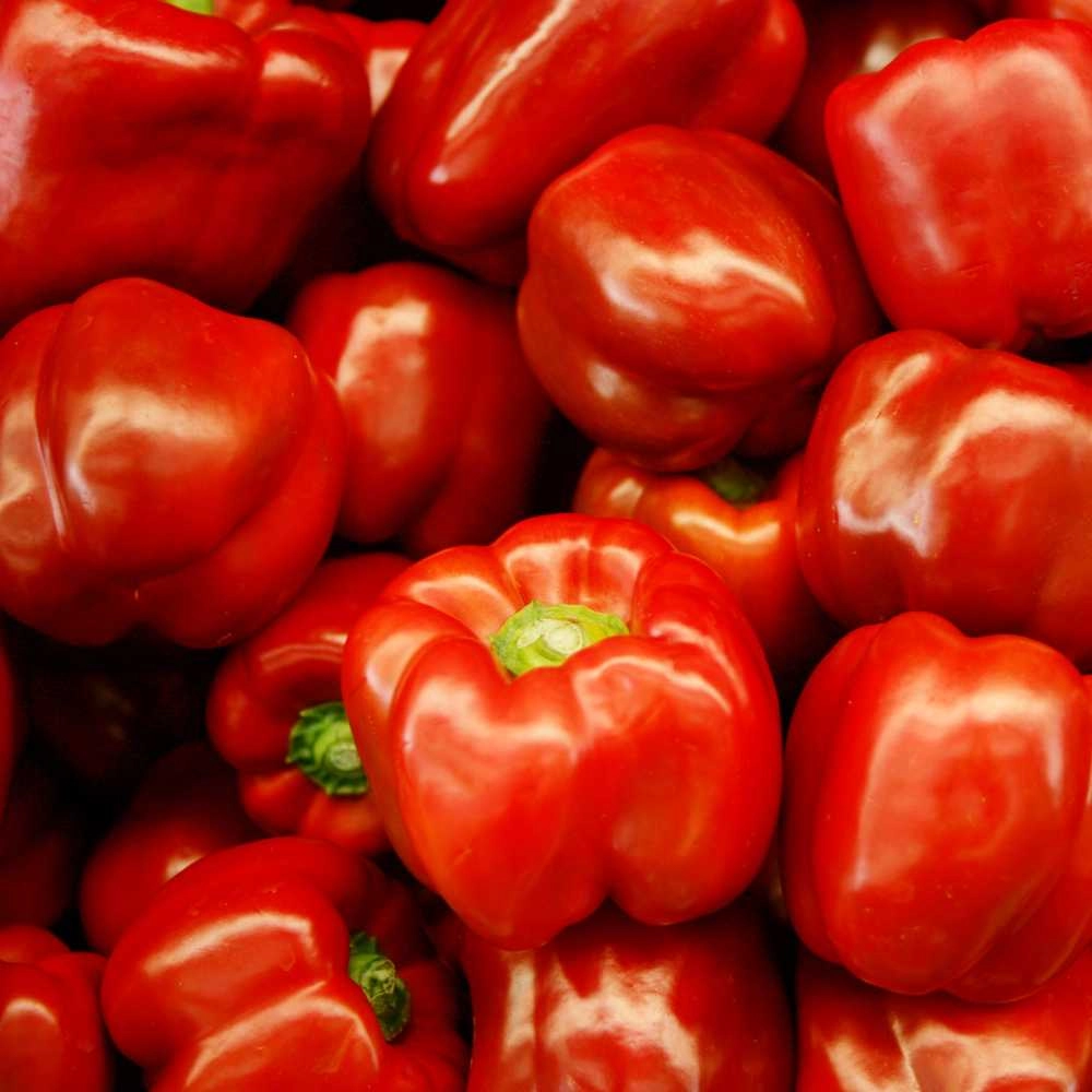 Gemüsepaprika / Topepo rosso - 30 Samen
