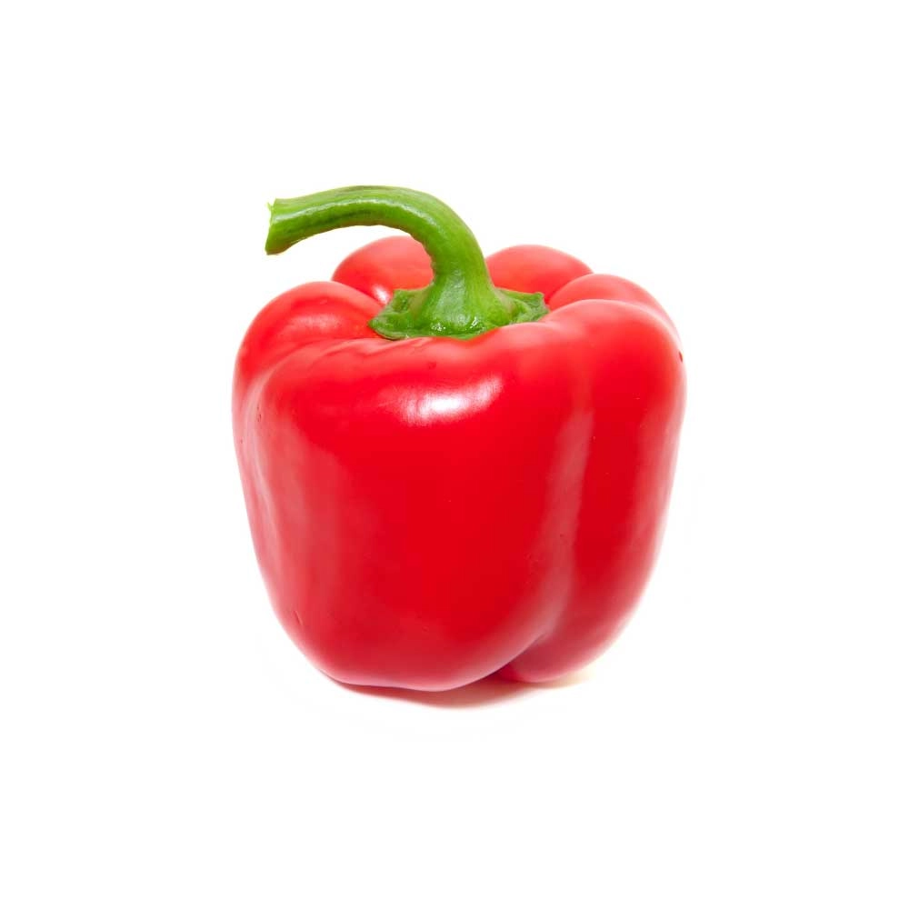 Block peppers / Beluga® Red F1 - 3 plants in root ball