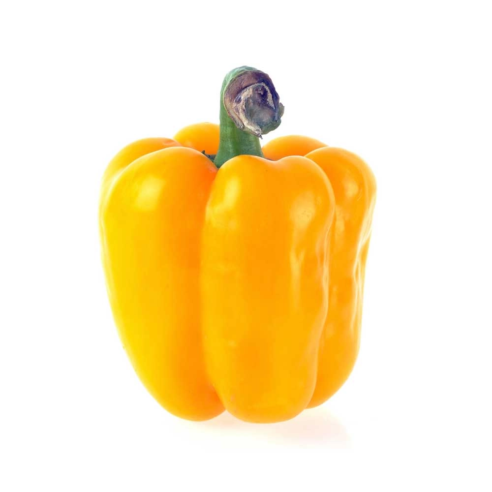 Block peppers / Beluga® Yellow F1 - 3 plants in root ball