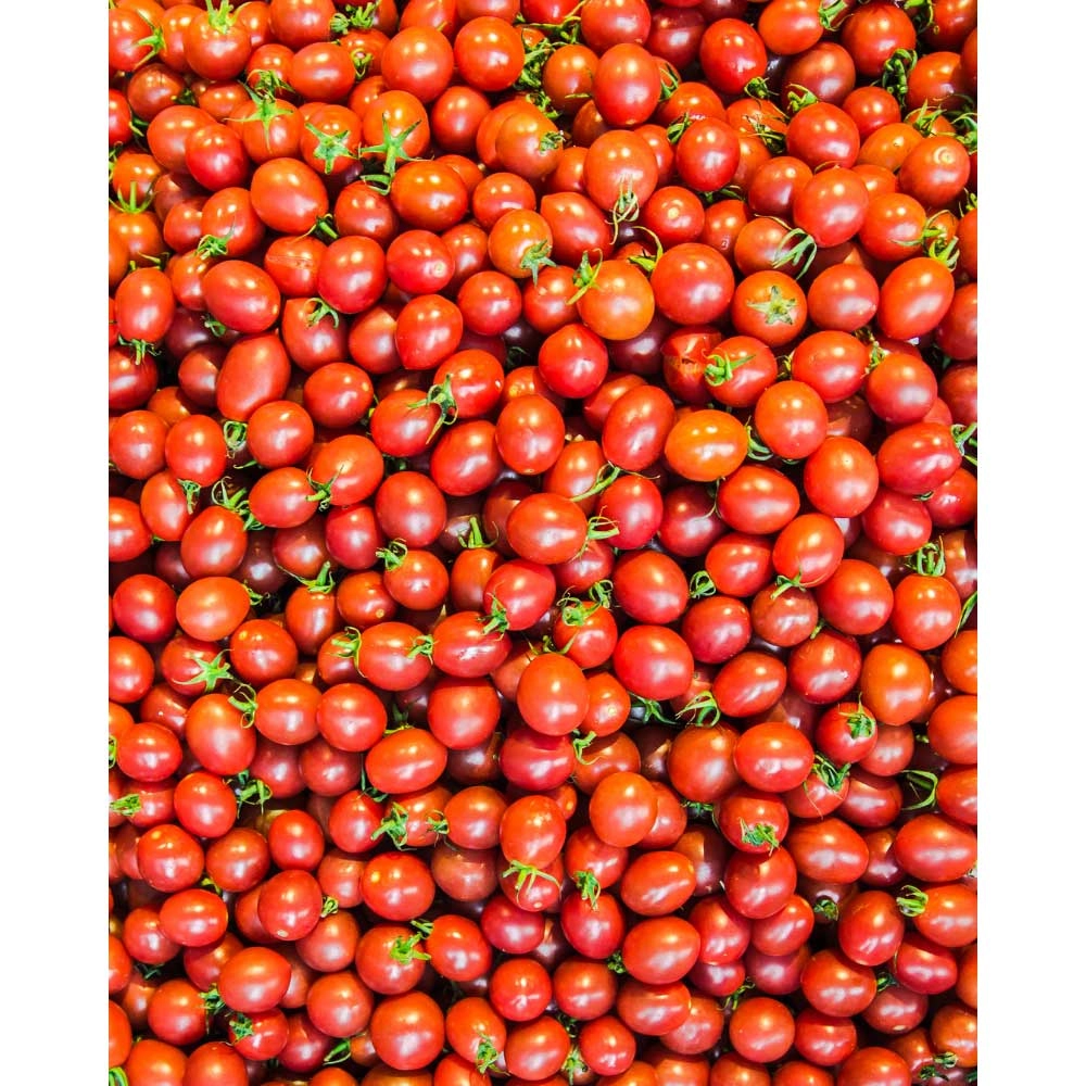 Tomate cereza / Mirado® Rojo F1 - 3 plantas en cepellón