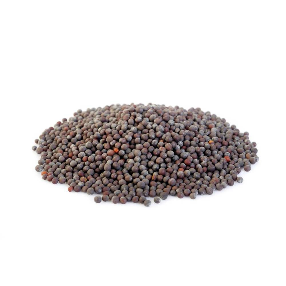 Mostaza / Negro - 100 semillas