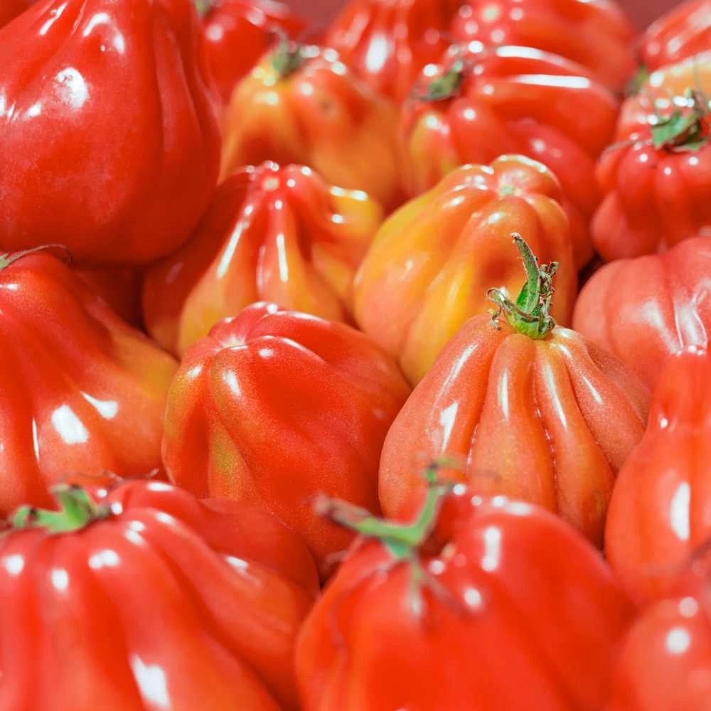 Tomate charnue / Cuor di bue - 30 graines