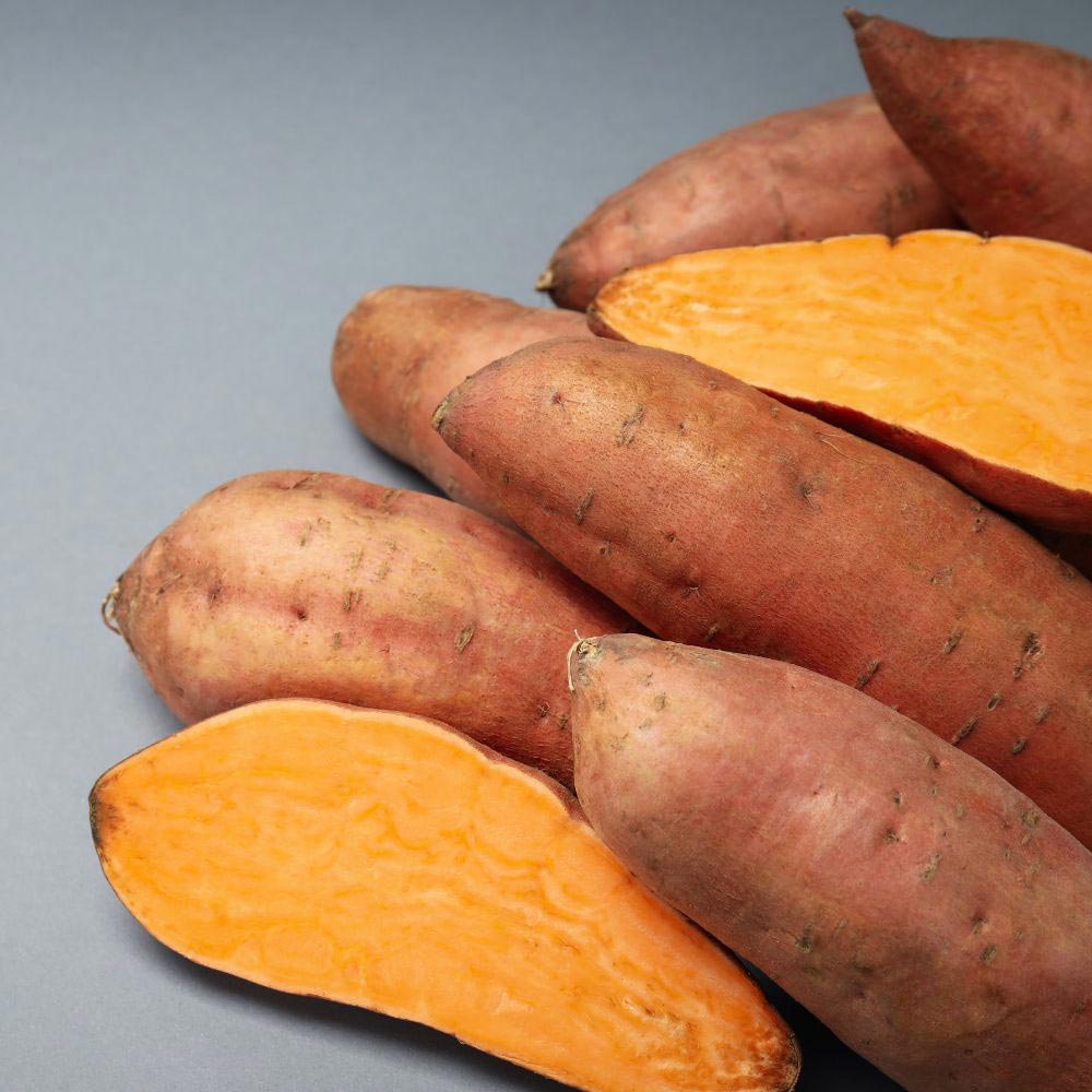 Sweet potato - Erato® Vineland Compact Orange - 3 plants in a root ball