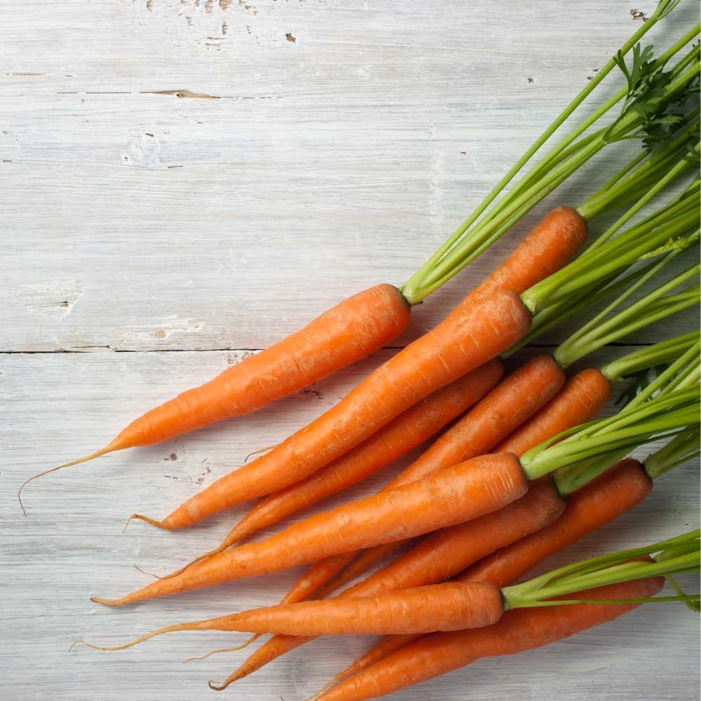 Carrot, Nantaise 2 - 500 seeds